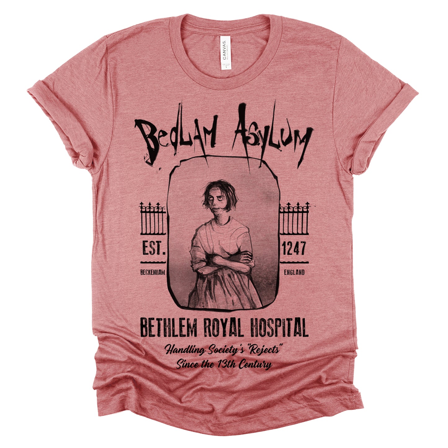 Bedlam Asylum: Unveiling the Haunting Secrets T-Shirt