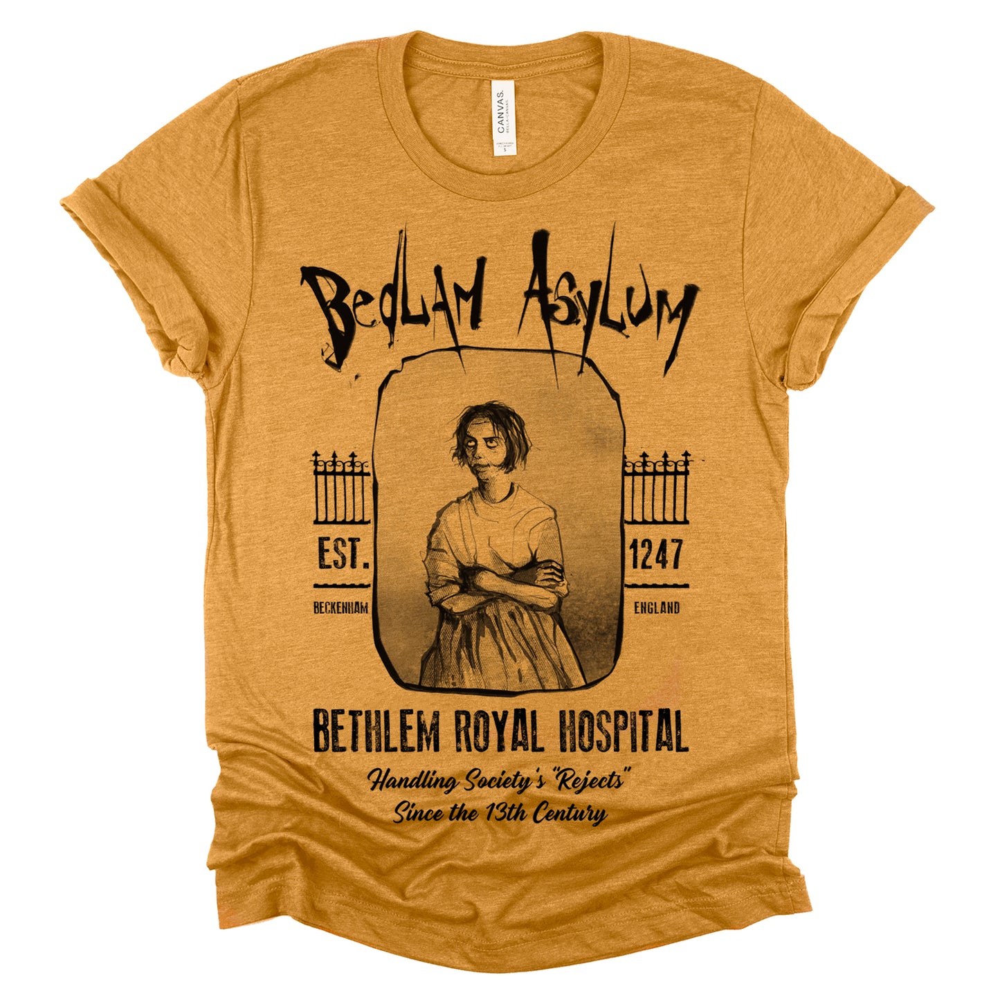 Bedlam Asylum: Unveiling the Haunting Secrets T-Shirt