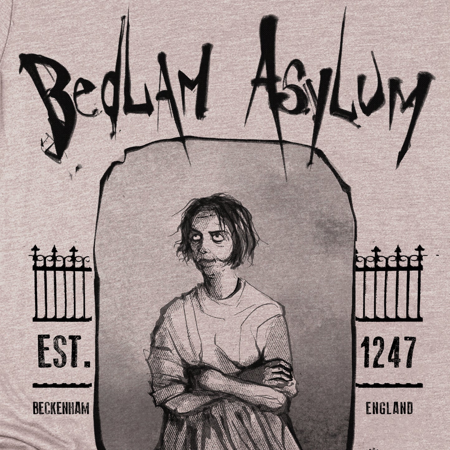 Bedlam Asylum: Unveiling the Haunting Secrets T-Shirt