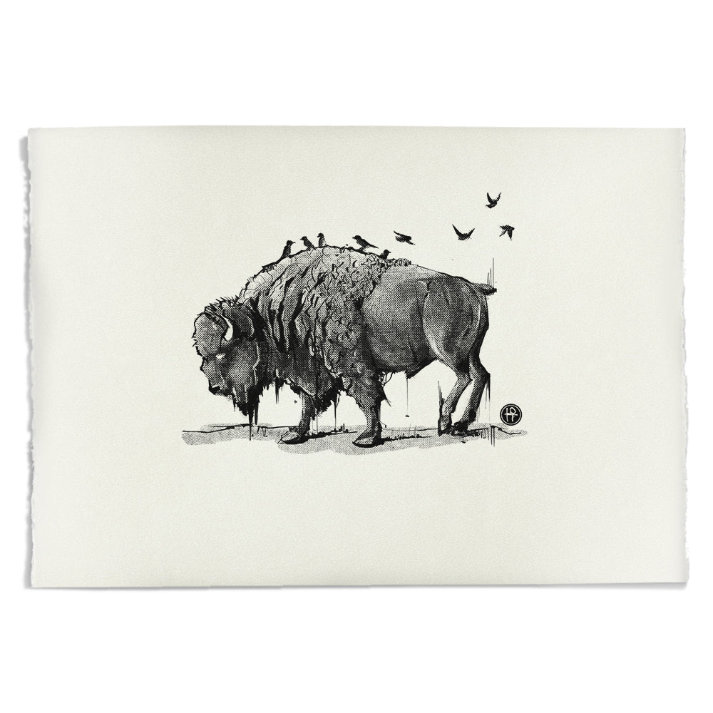 Bison: Majestic Harmony Art Print