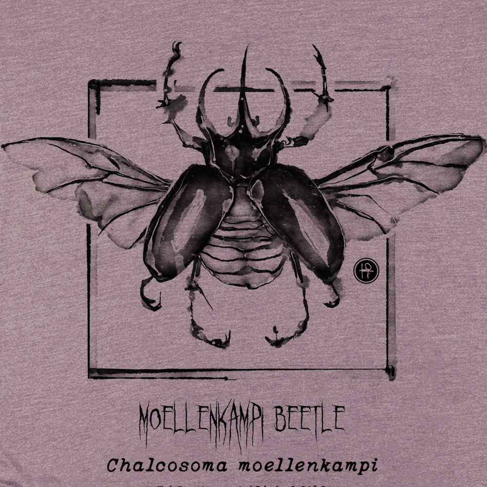 Taxidermy: Moellenkampi Beetle T-Shirt