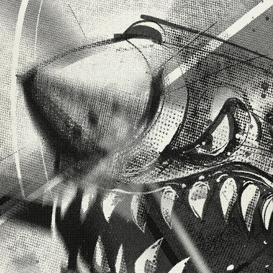 Warbird: Lethal Predator Art Print