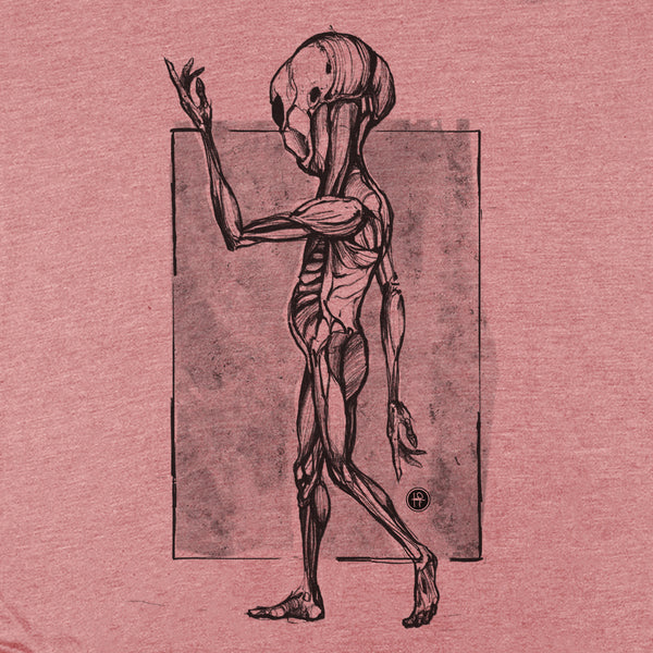 Alien Anatomy