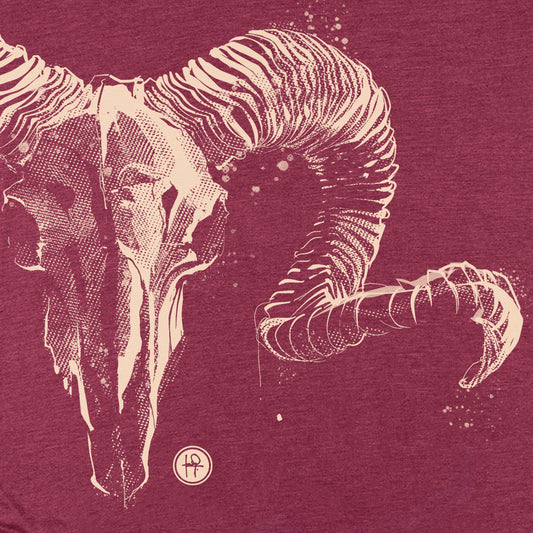 Aries Zodiac Sign: Celestial Warrior T-shirt