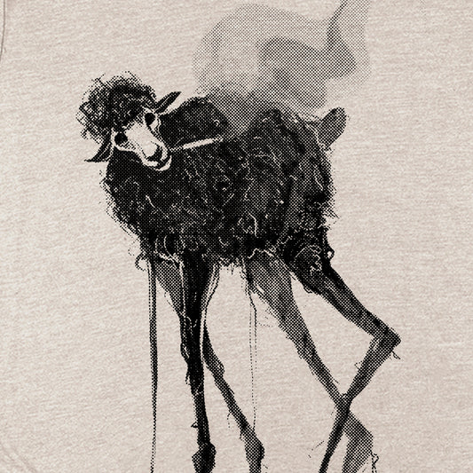Black Sheep