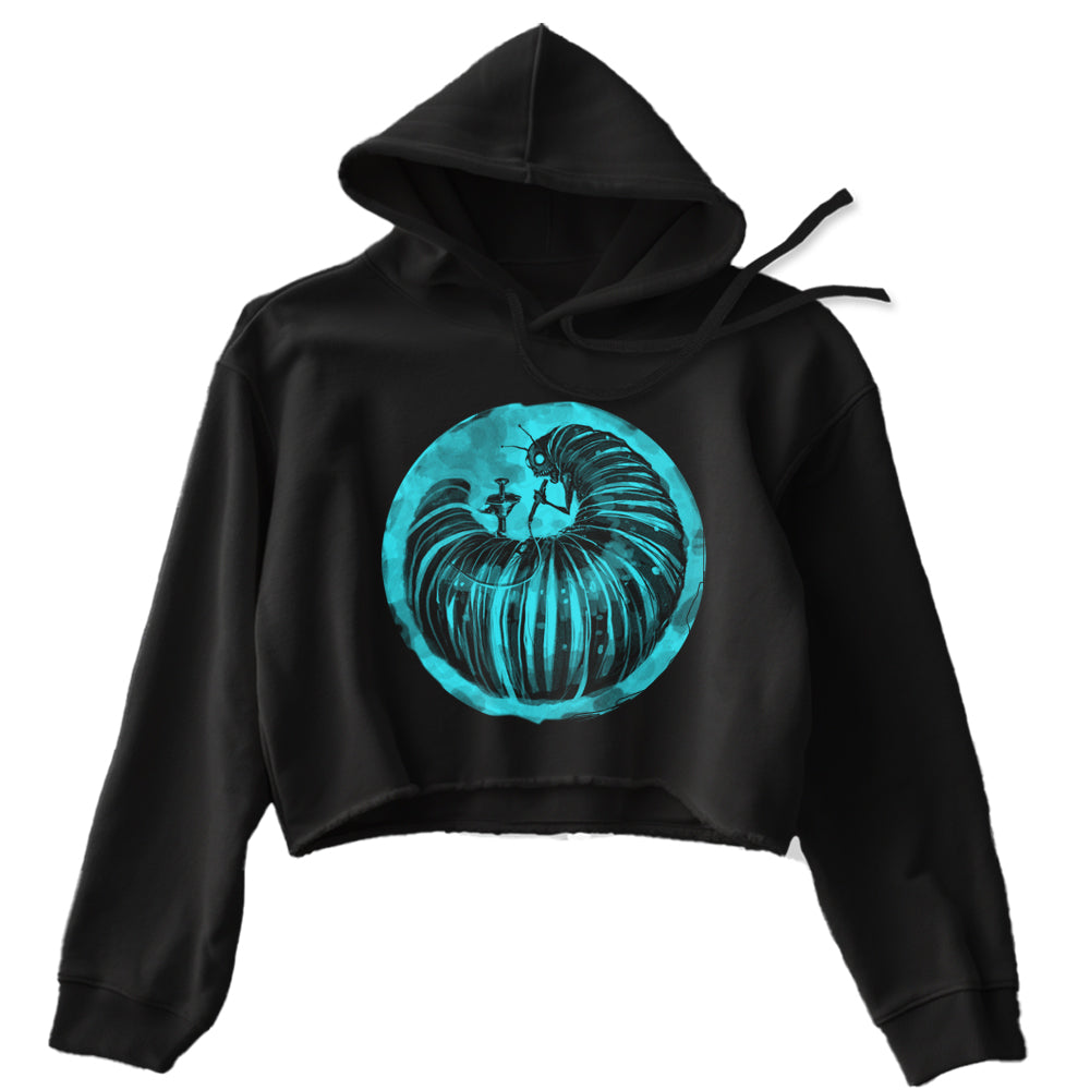 Alice Wonderland Caterpillar