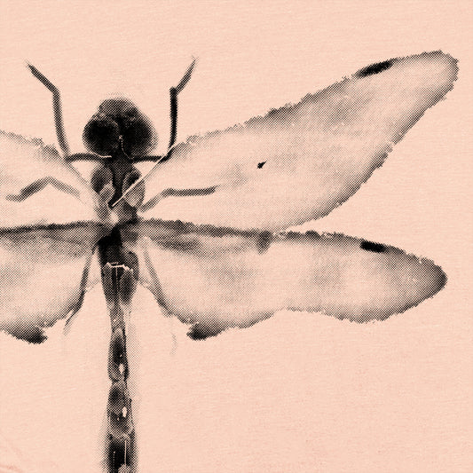 Dragonfly: Whimsical Wonder T-Shirt