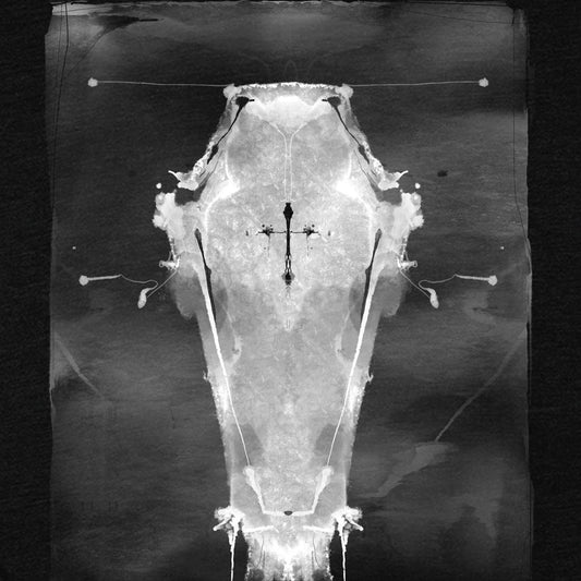 Ink Whispers Coffin