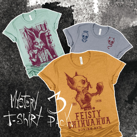 Mystery T-Shirt 3 Pack