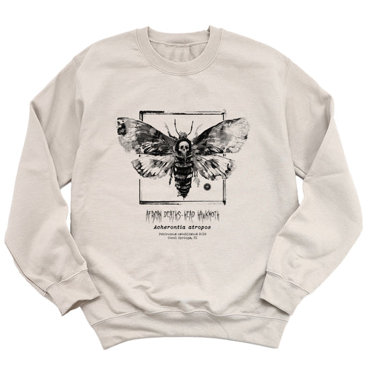 Taxidermy: African Death's Head Hawkmoth Sweatshirt